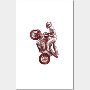 Stunt riding Posters and Art